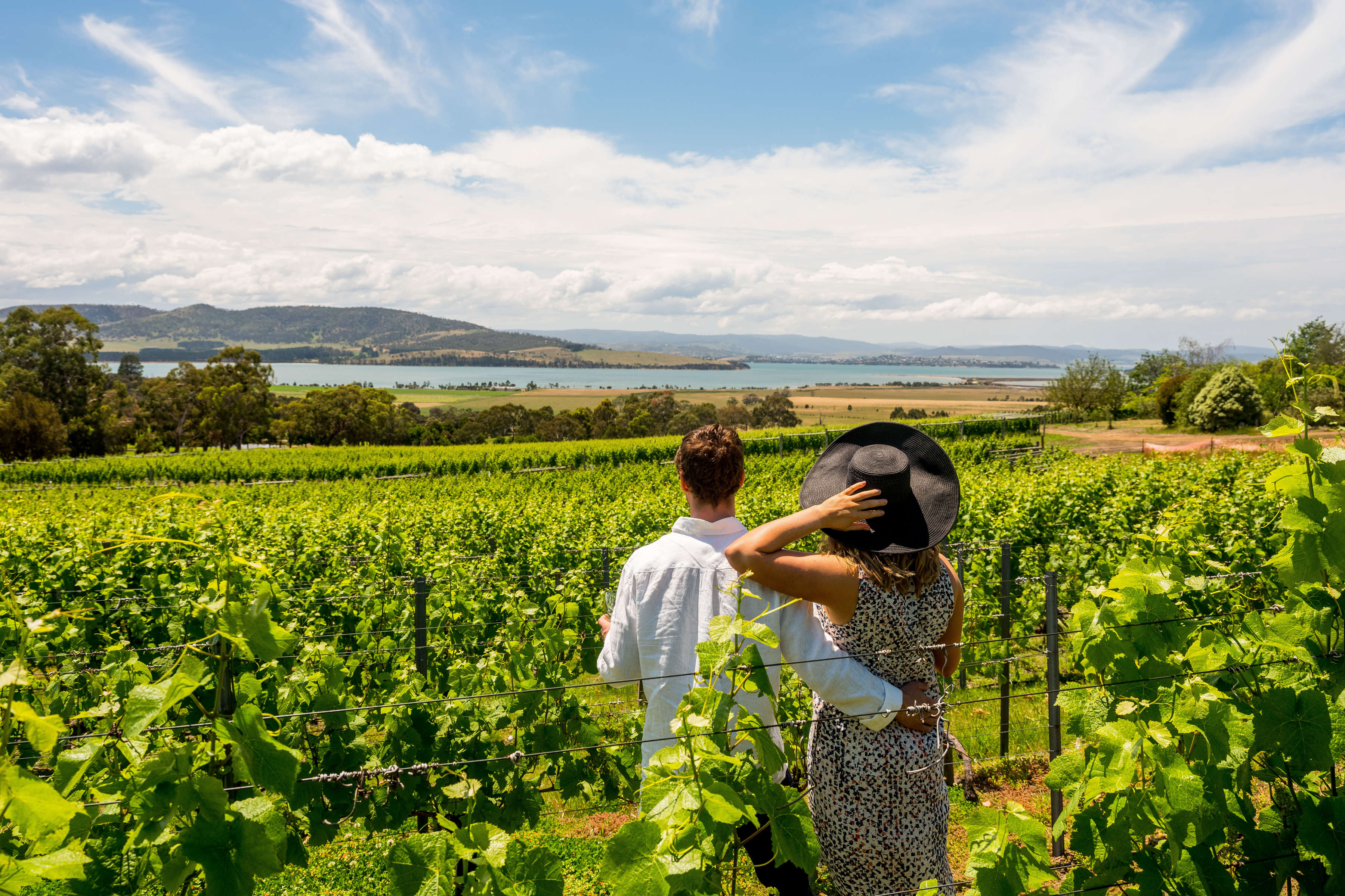 A man and a woman standing between rows of vines overlooking Barilla Bay on a sunny day.