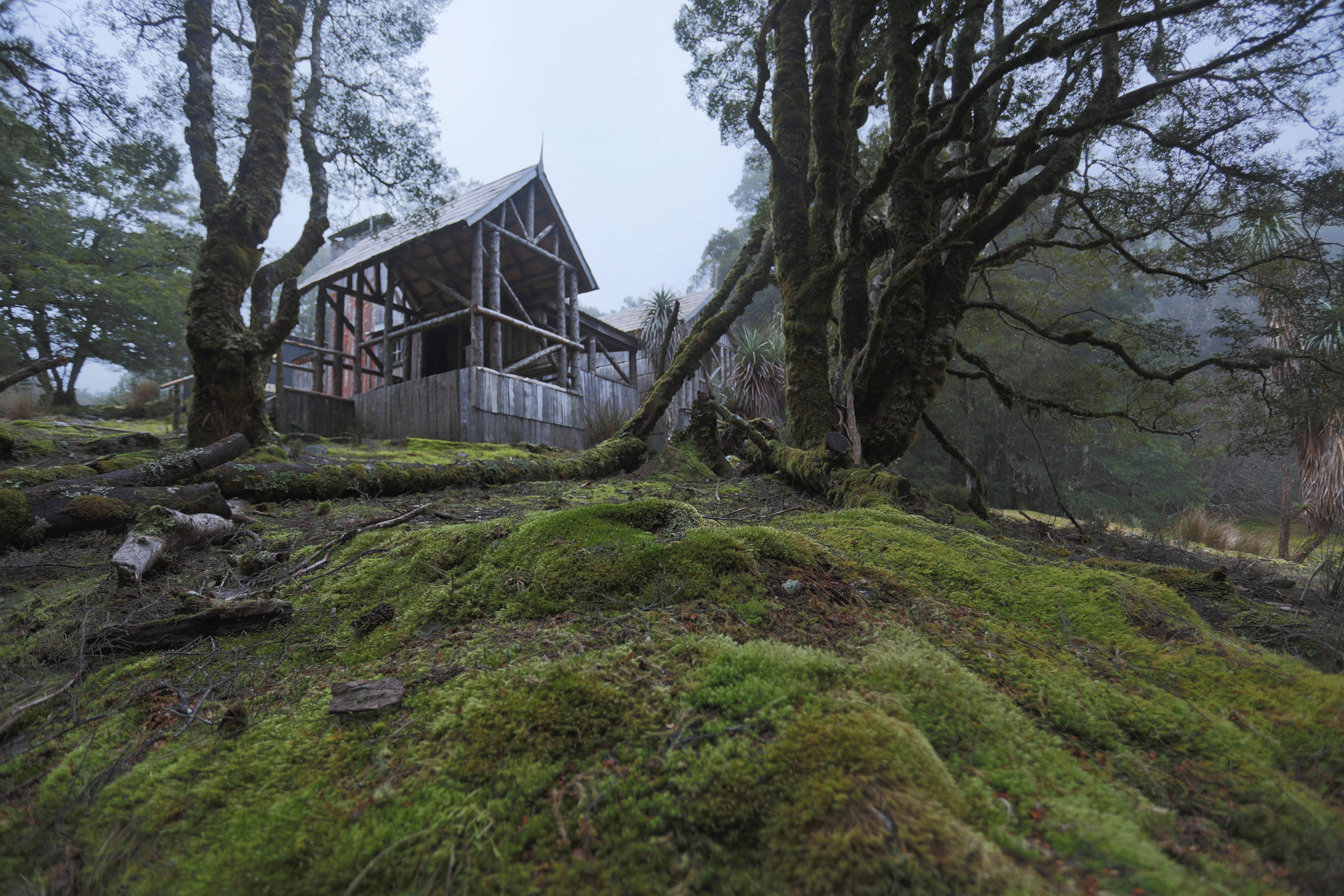 Rustic Waldheim Chalet surrounded by tall trees in the wilderness of Cradle Mountain–Lake St Clair National Park, Tasmania.